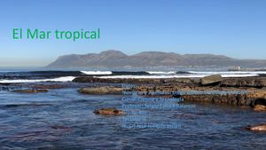 El Mar Tropical