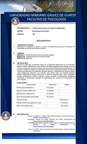 140 Psicoterapia De Grupo Ii