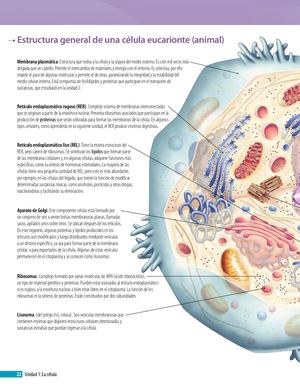 Estructura general de una célula eucarionte
