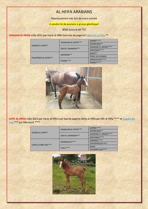 Pub Vente Produits Al Hfifa