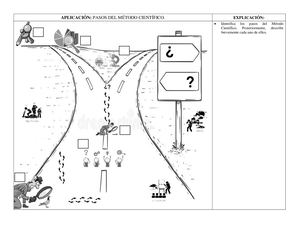 Representación Gráfica De Los Pasos Del Método Científico