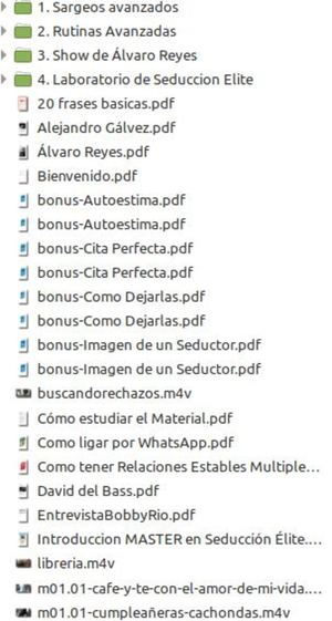 Master En Seduccion Elite