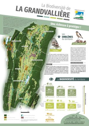 Portrait de la biodiversité de la Grandvallière