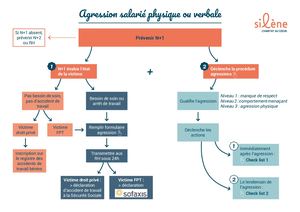 2021 07 02 Logigramme Procédure Agressions Interactif