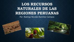 Los Recursos Naturales De Las Regiones Peruanas Rodrigo Ramírez 4to Grado De Primaria