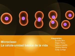 4. MICROCLASE BIOLOGIA (1).