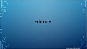 Editor Vi