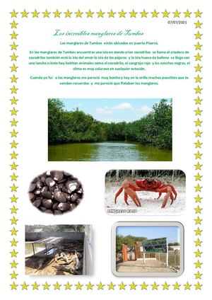 Los increibles Manglares De Tumbes