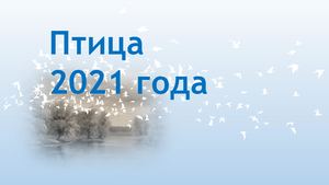 Кобчик - птица 2021 года