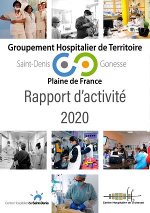 Rapport Activité Ght -v2 2020 07 07 21