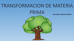 Transformación De Materia Prima