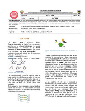 Cartilla 9 . Estructura de los Ácidos Nucleícos