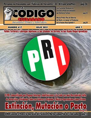 CODIGO CIUDADANO 617