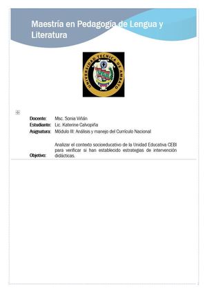 Análisis Curricular Katy