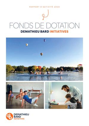 DEMATHIEU BARD INITIATIVES - Rapport d'activité 2020