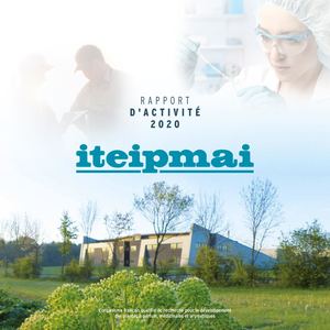 Rapport Activite iteipmai 2020