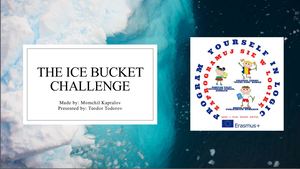 Ice Bucket Challenge