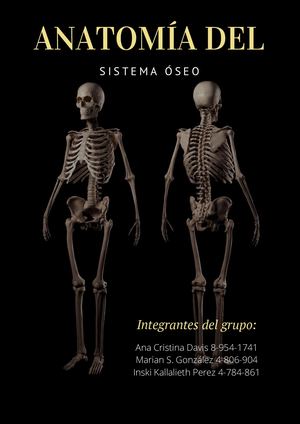 Anatomía del Sistema Oseo