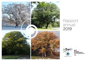 Bergerie Nationale Rapport Annuel 2019