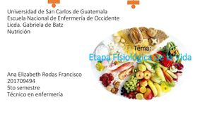 Rotafolio Nutrición