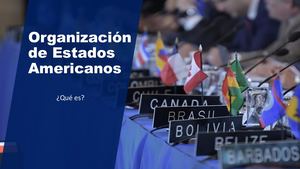 Pedro José Rojas Chirinos - OEA