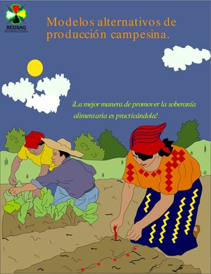 Folleto Modelos De Producción