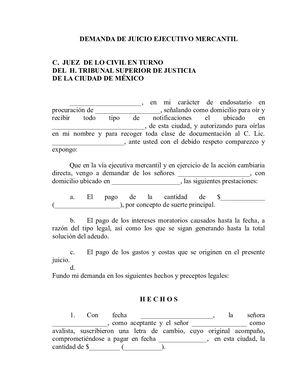 Muestra Ejecutivo Mercantil