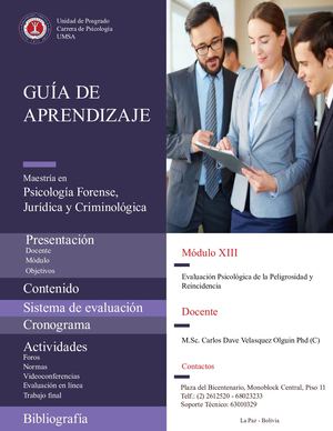 Guía De Aprendizaje M13