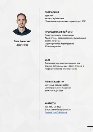 Портфолио архитектор Олег Колесник