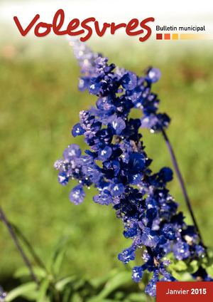 Volesvres Bulletin 2015