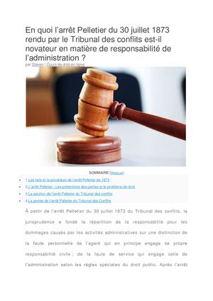 Cours de droit : Arrêt Pelletier du 30/07/1873 rendu par le tribunal des conflits