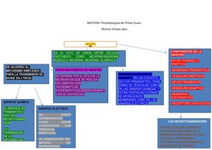 Psicofisiologia Mapa Sinapsis (1) Convertido