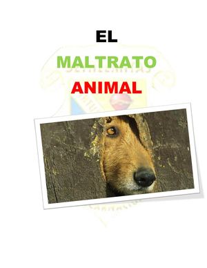 Proyecto De Investigacion Maltrato Animal2