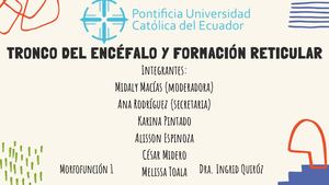 Tronco Encefálico Y Formación Reticular