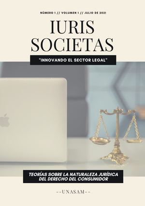 Teorías sobre la naturaleza jurídica del derecho del consumidor
