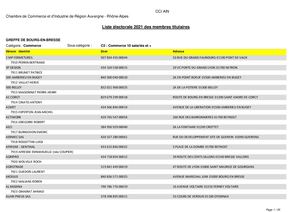 CCI AIN Liste Electorale Commerce 2