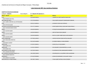 CCI AIN Liste Electorale Industrie 2