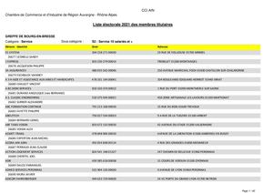 CCI AIN Liste Electorale Services 2