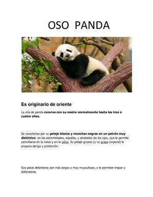 Oso Panda