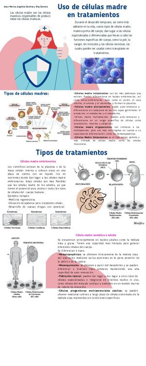 Infografía 1