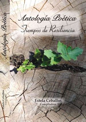 Tiempos De Resiliencia Libro Digital 2021