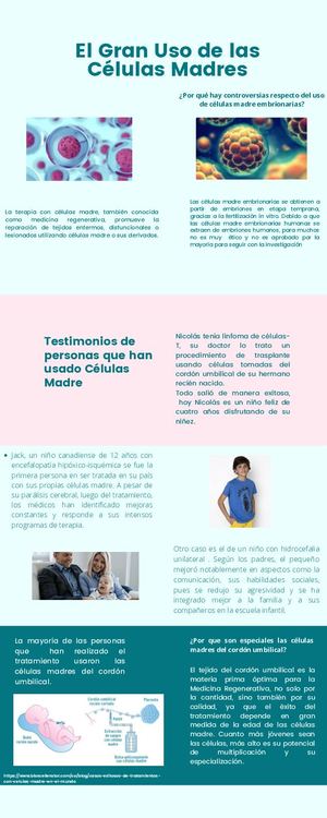 Infografia Celulas Madre (1)