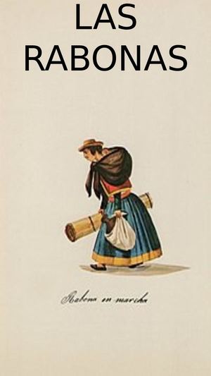Historia De Las Rabonas