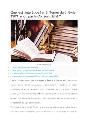Quel est l’intérêt de l’arrêt Terrier du 6 février 1903 rendu par le Conseil d’État
