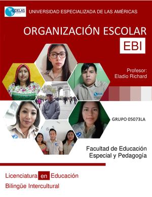 ORGANIZACIÓN ESCOLAR (EBI)