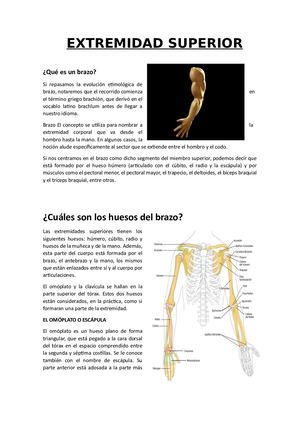 EXTREMIDAD SUPERIOR