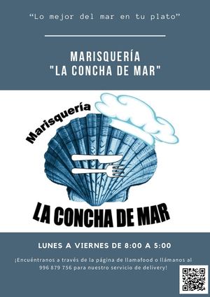 CATALOGO"LA CONCHA DE MAR"