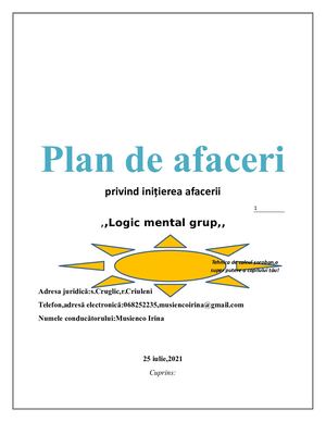 Plan De Afaceri