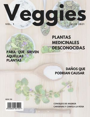 Catalogo de Plantas Medicinales
