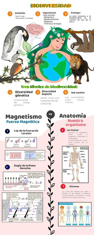 Infografía